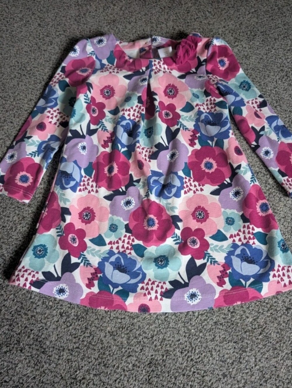 Gymboree Pink Blue Purple Floral Long Sleeve Dress